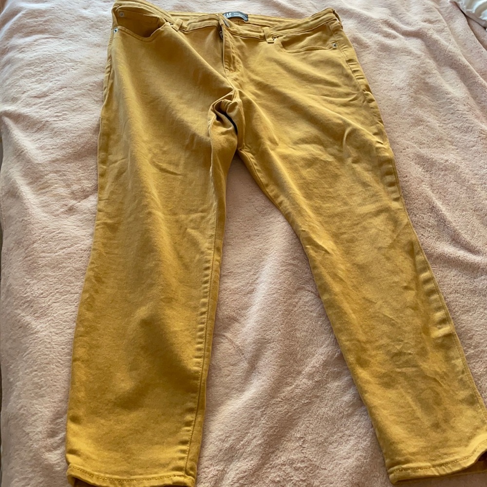 Gap stretch jeans fall/ winter. NWOT